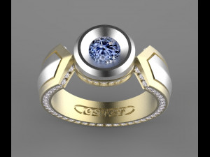 ring 3D 프린트 모델