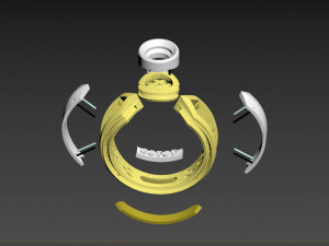 ring Modèles 3D en vedette