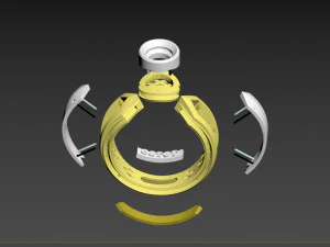 ring 3D Print Model