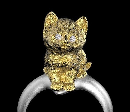 ring 3D 打印模型 .c4d .max .obj .3ds .fbx .stl .blend 