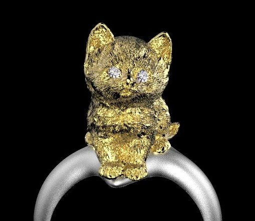 ring 3D Print Model .c4d .max .obj .3ds .fbx .stl .blend 