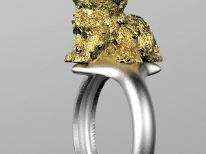 ring 3D 打印模型
