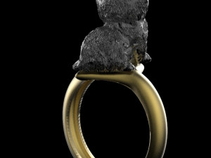 ring 3D 打印模型