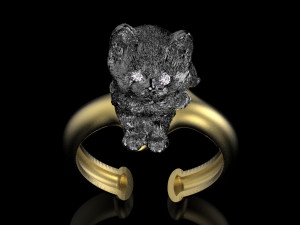 ring 3D 打印模型