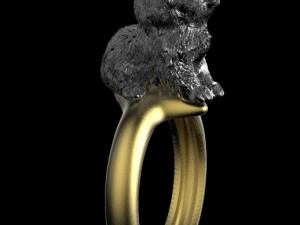 ring 3D 打印模型