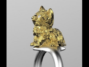 ring 3D 打印模型