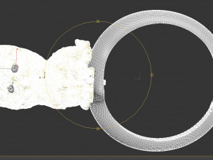 ring 3D 打印模型