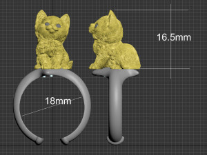 ring 3D 打印模型