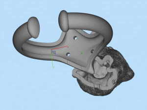 ring 3D Print Model