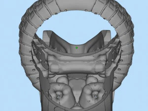 anillo Modelo de impresión 3D