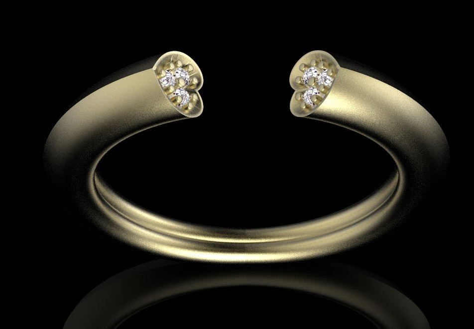ring 3D Print Model .c4d .max .obj .3ds .fbx .stl .blend 