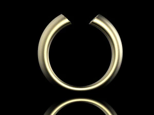 ring 3D Print Model