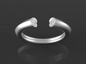 ring 3D Print Model