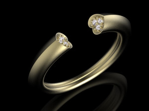 ring Modèles 3D en vedette