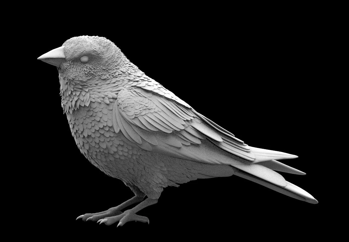 Bird 3D Model .c4d .max .obj .3ds .fbx .stl .blend 