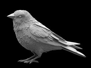 Bird 3D Model