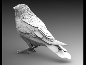 bird 3D Модель