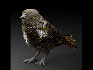 bird 3D Модель