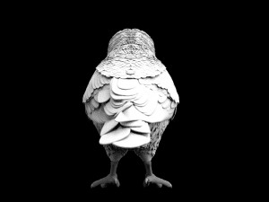bird 3D Модель