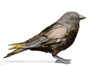 bird 3D Модель