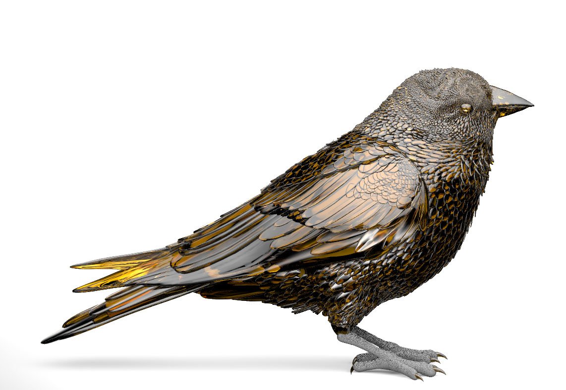 Bird 3d model
