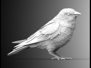 bird 3D Модель