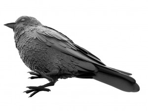 bird 3D Модель