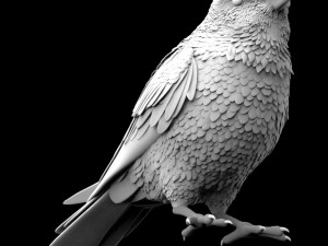 bird 3D Модель
