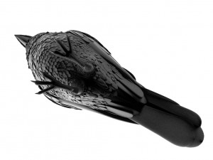 bird 3D Модель