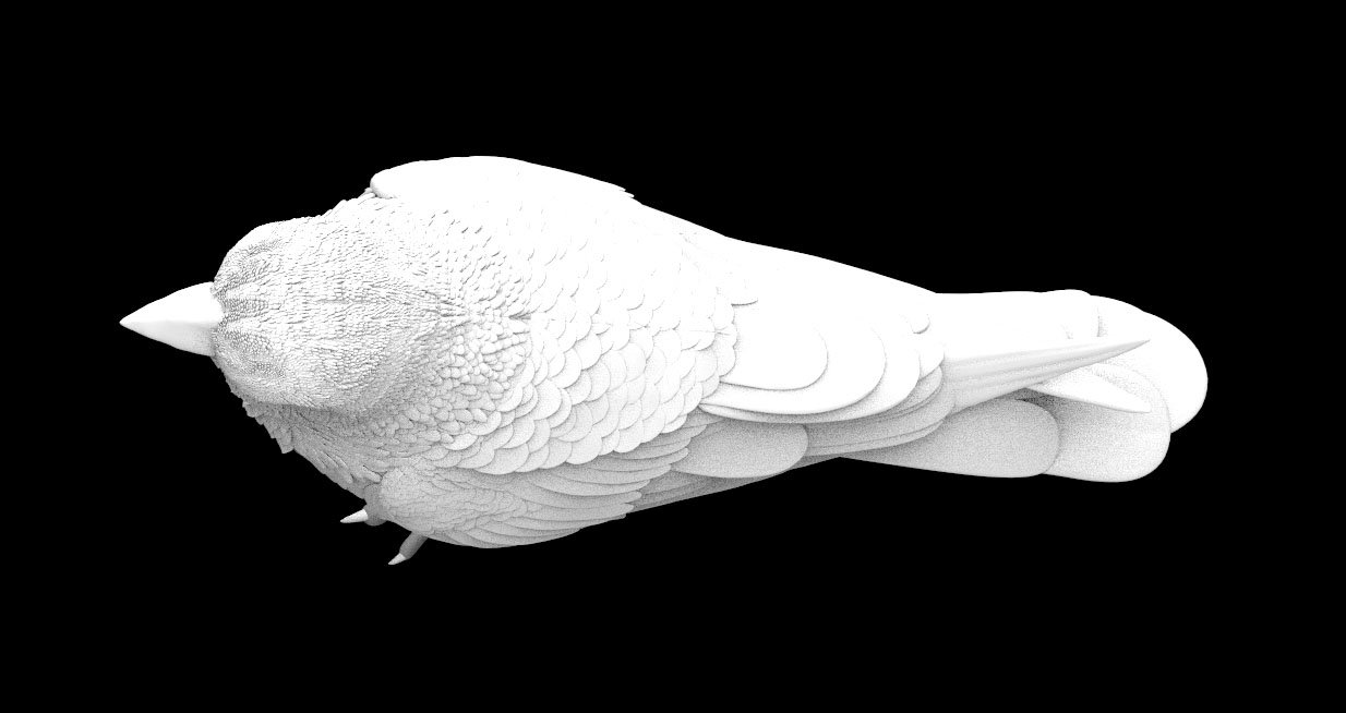 Bird 3d model