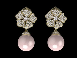 earrings 3D Print Model