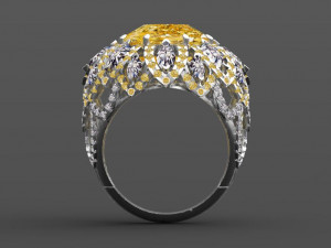 earrings 3D Print Model