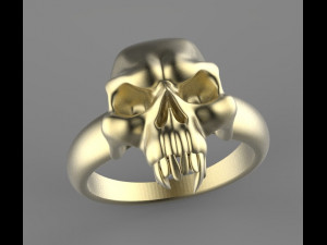 ring 3Dプリントモデル