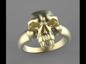 ring 3D Print Model