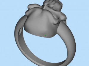 ring 3D Print Model