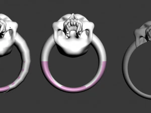ring 3D Print Model