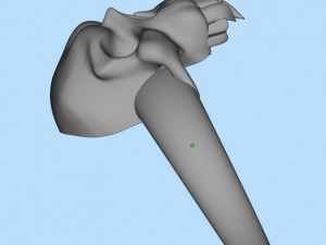 ring 3Dプリントモデル