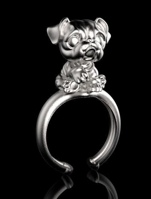 ring 3D Print Model .c4d .max .obj .3ds .fbx .stl .blend