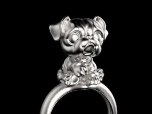 ring 3D Print Model