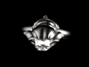 ring 3D Print Model