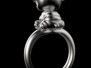 ring 3D Print Model