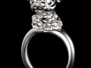 ring 3D Print Model