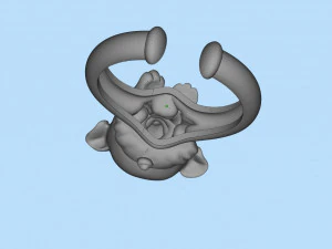 ring 3D Print Model