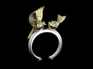 кільце 3D Принт Модель