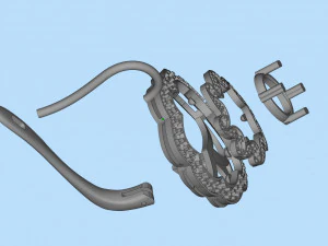 earrings 3D Print Model