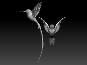 colibri humming bird 3D Baskı Modeli
