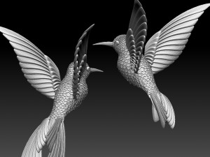 colibri humming bird 3D Baskı Modeli