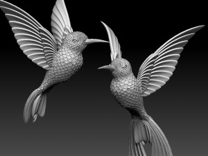 colibri humming bird 3D Baskı Modeli