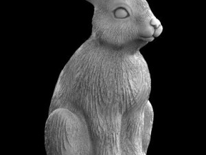 hare rabbit 3Dモデル