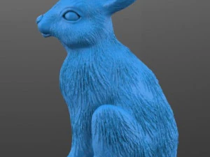 hare rabbit 3D Model